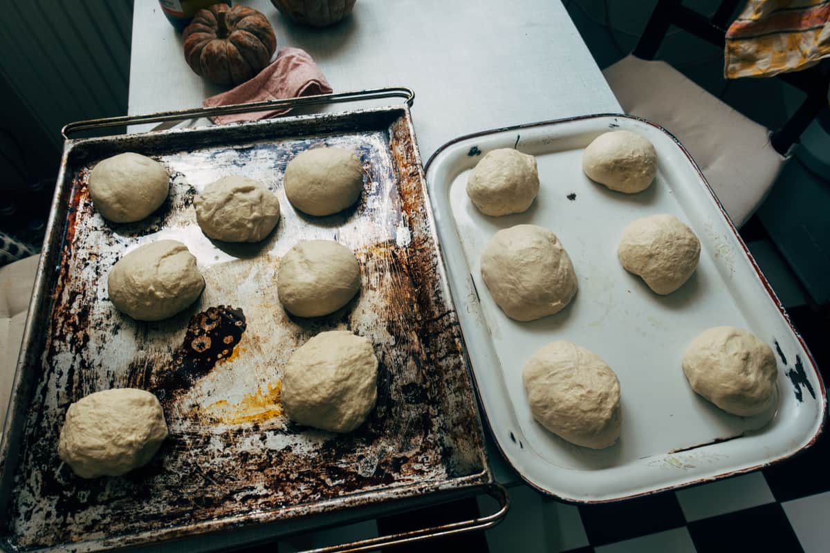 Pizza dough balls proofing on a tray