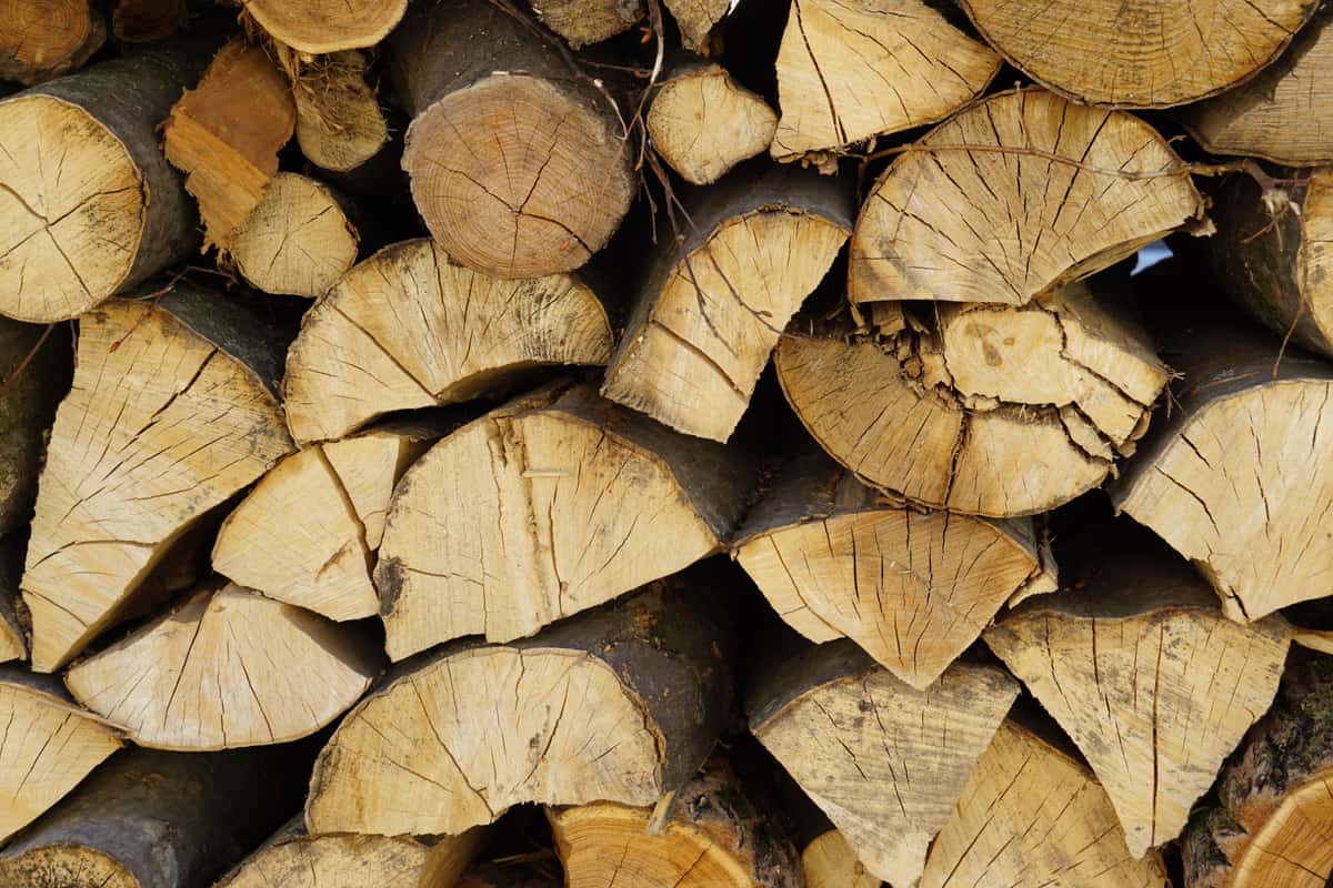 Split firewood stacked and ready for burning