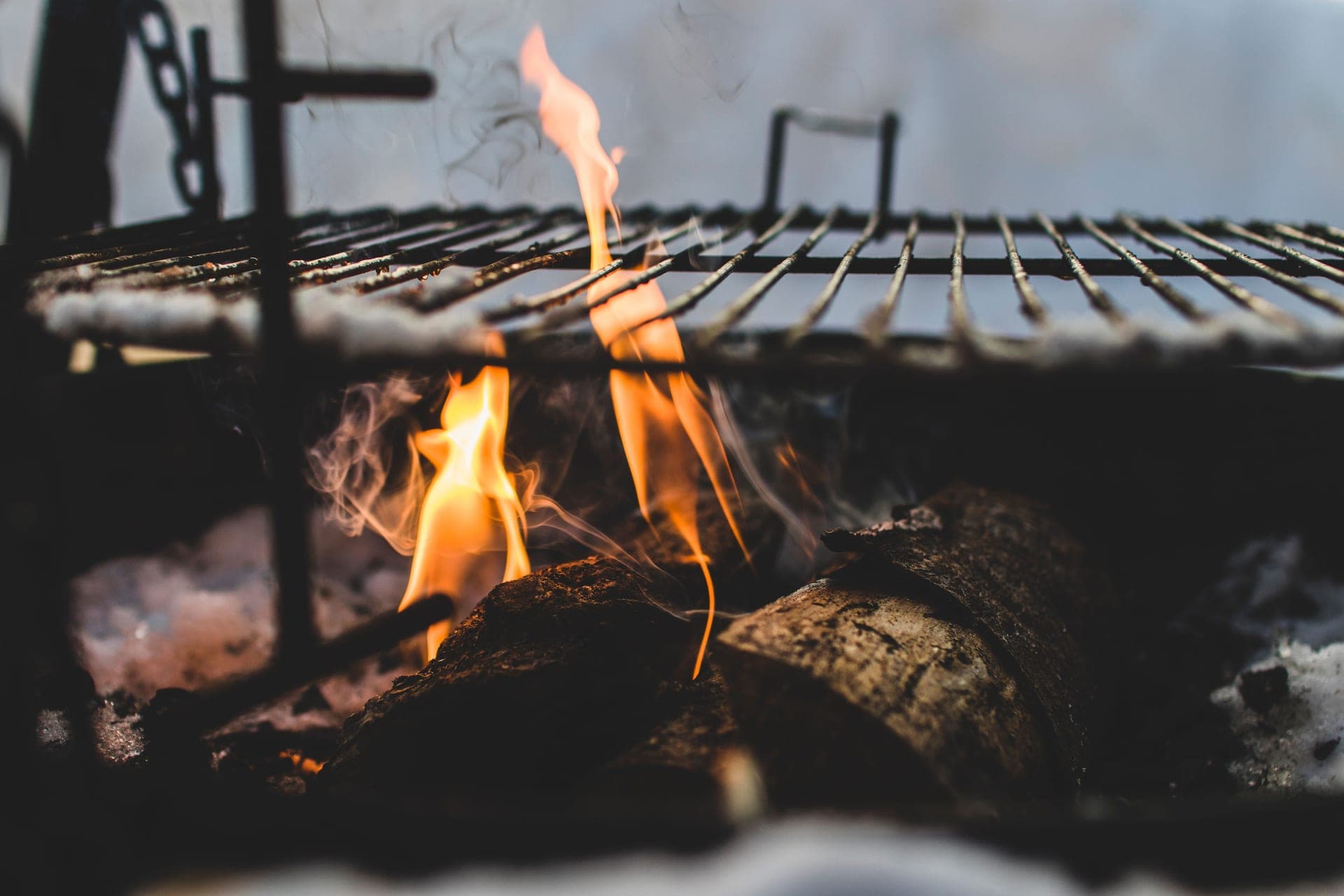 Firewood burning in a fire pit beneath a metal cooking grate
